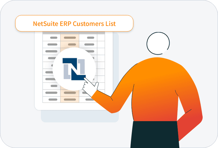Definition of NetSuite ERP Users List