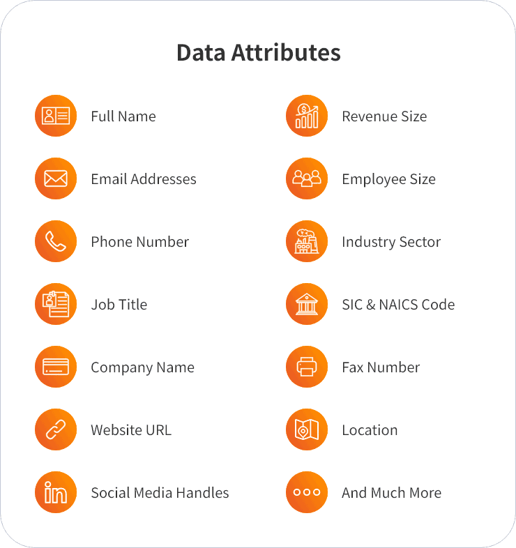 Data Attributes of IT managers list